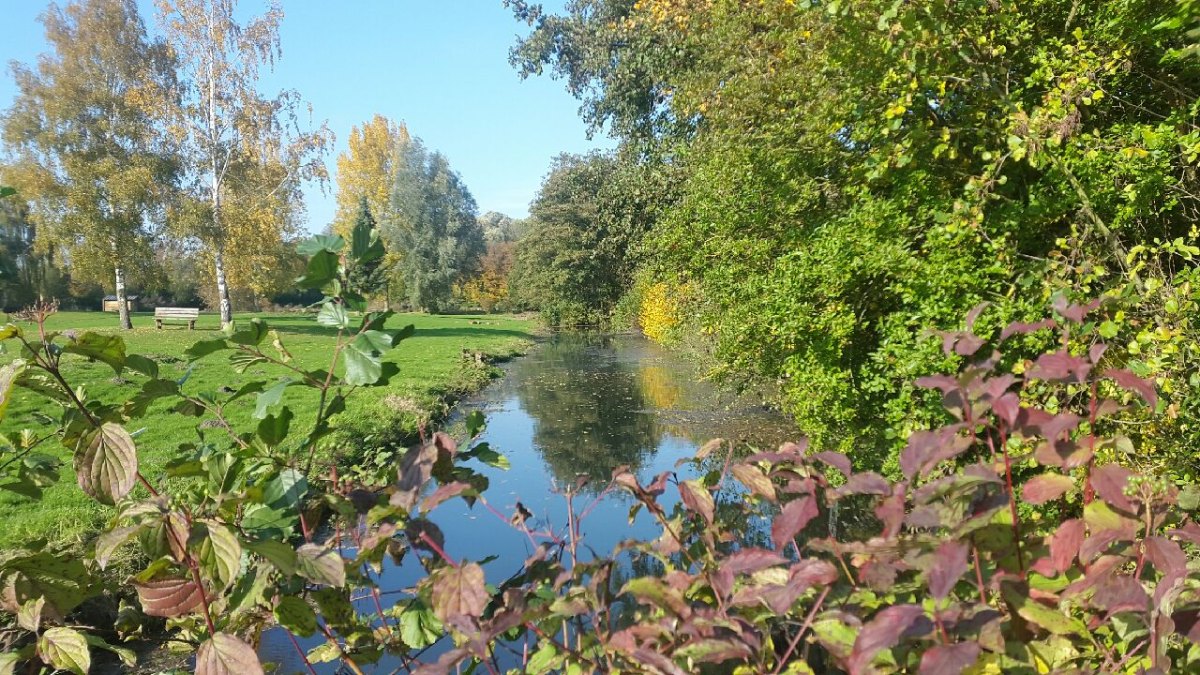 etang truite honnecourt