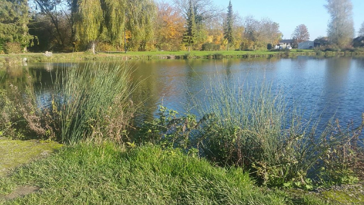 etang truite honnecourt